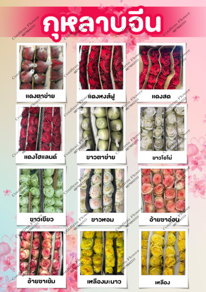 Confirm-Flower.com จำหน่าย ดอกไม้ไทย ดอกไม้นอก ใบไม้ (12)