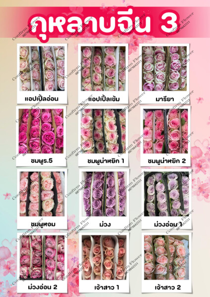 Confirm-Flower.com จำหน่าย ดอกไม้ไทย ดอกไม้นอก ใบไม้ (13)