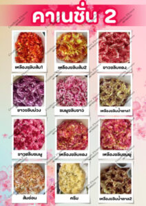 Confirm Flower.com จำหน่าย ดอกไม้ไทย ดอกไม้นอก ใบไม้ 17