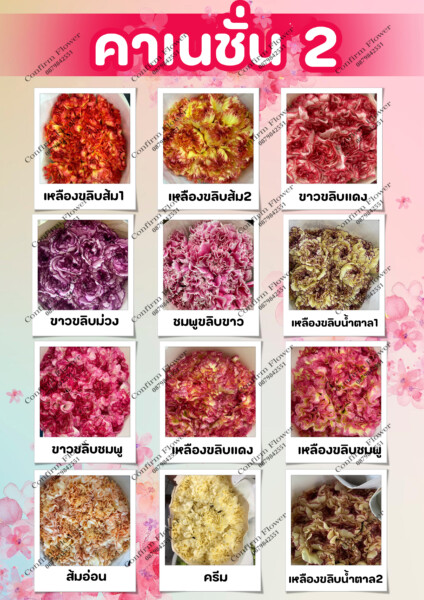 Confirm-Flower.com จำหน่าย ดอกไม้ไทย ดอกไม้นอก ใบไม้ (17)
