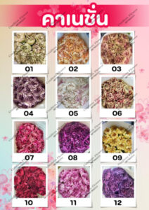 Confirm Flower.com จำหน่าย ดอกไม้ไทย ดอกไม้นอก ใบไม้ 18