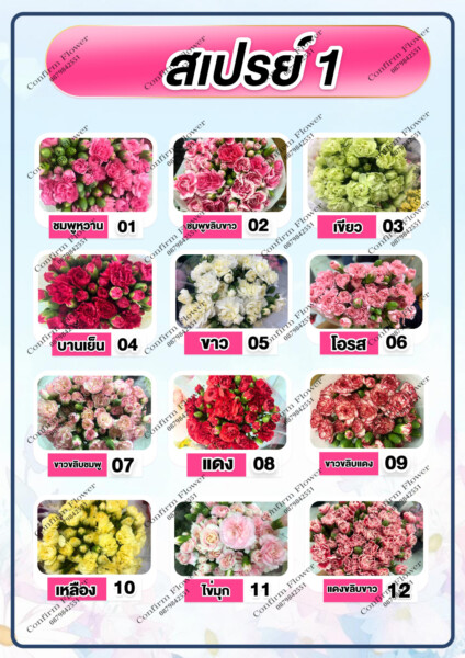 Confirm-Flower.com จำหน่าย ดอกไม้ไทย ดอกไม้นอก ใบไม้ (19)