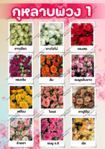 Confirm Flower.com จำหน่าย ดอกไม้ไทย ดอกไม้นอก ใบไม้ 27