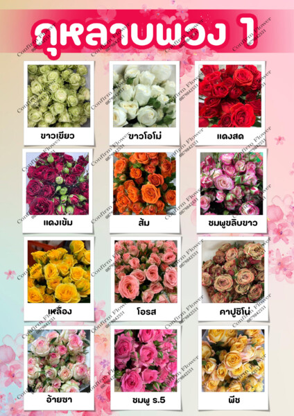Confirm-Flower.com จำหน่าย ดอกไม้ไทย ดอกไม้นอก ใบไม้ (27)