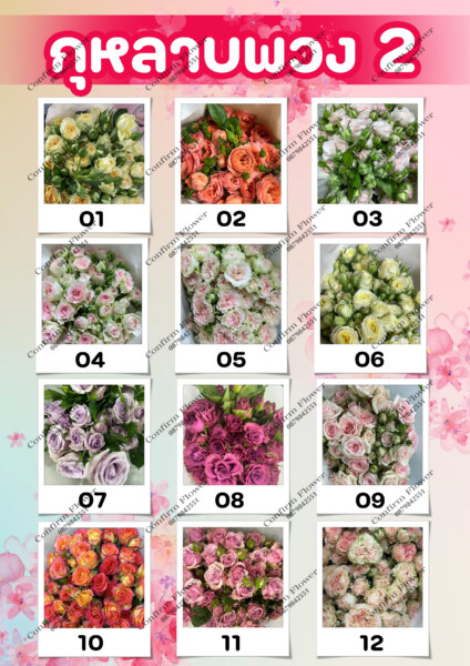 Confirm-Flower.com จำหน่าย ดอกไม้ไทย ดอกไม้นอก ใบไม้ (28)