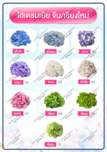 Confirm Flower.com จำหน่าย ดอกไม้ไทย ดอกไม้นอก ใบไม้ 32