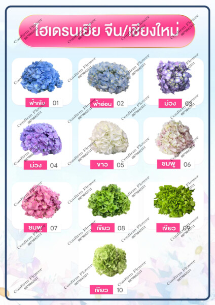 Confirm-Flower.com จำหน่าย ดอกไม้ไทย ดอกไม้นอก ใบไม้ (32)
