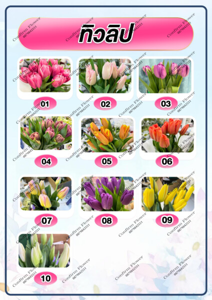 Confirm Flower.com จำหน่าย ดอกไม้ไทย ดอกไม้นอก ใบไม้ 35