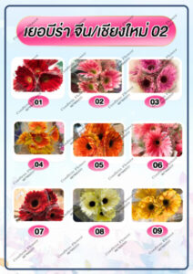 Confirm Flower.com จำหน่าย ดอกไม้ไทย ดอกไม้นอก ใบไม้ 44