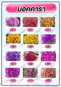 Confirm Flower.com จำหน่าย ดอกไม้ไทย ดอกไม้นอก ใบไม้ 45