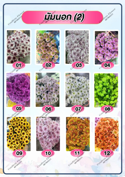 Confirm-Flower.com จำหน่าย ดอกไม้ไทย ดอกไม้นอก ใบไม้ (54)